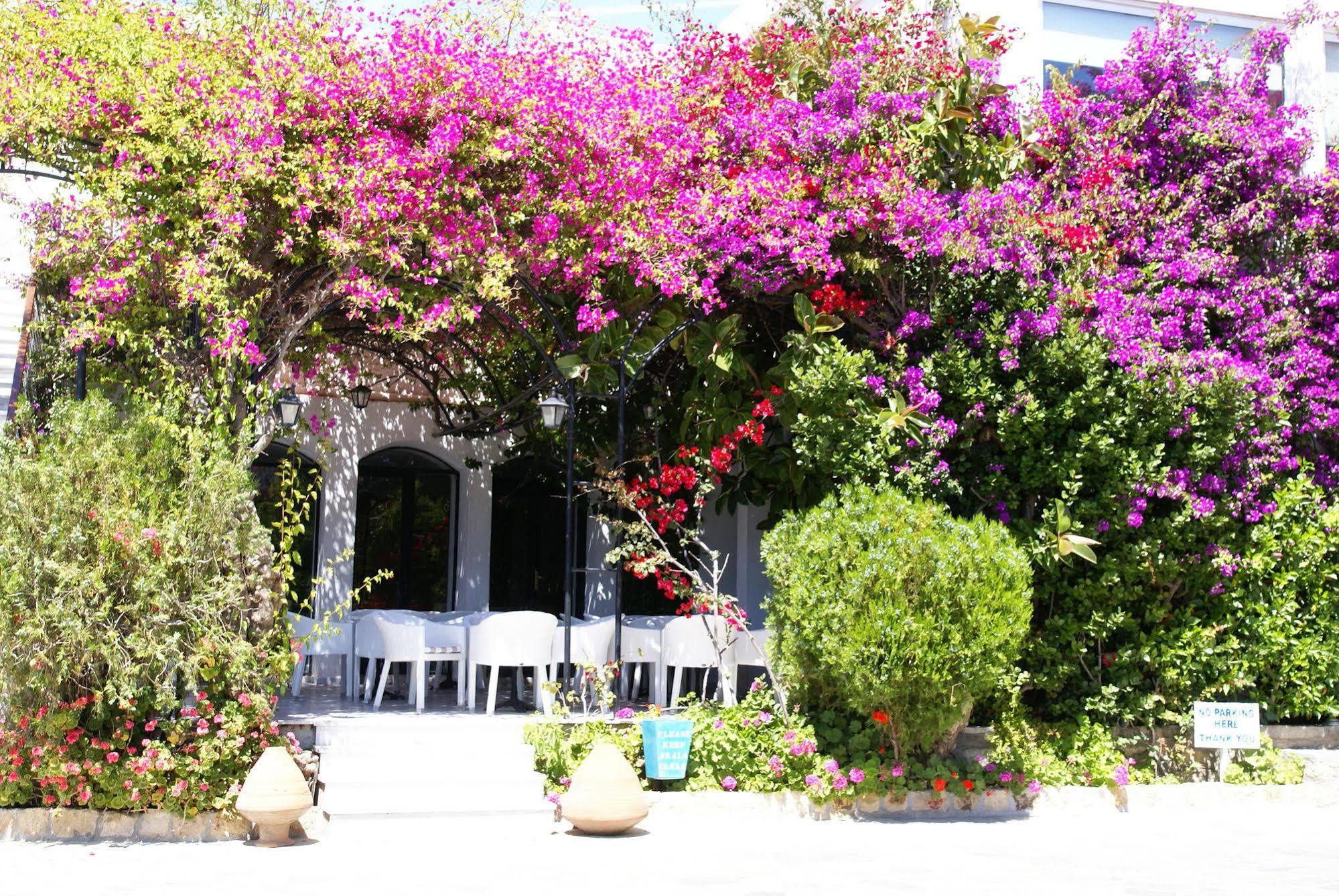 Skala Hotel Kültér fotó